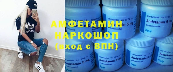 молекула духа Новозыбков