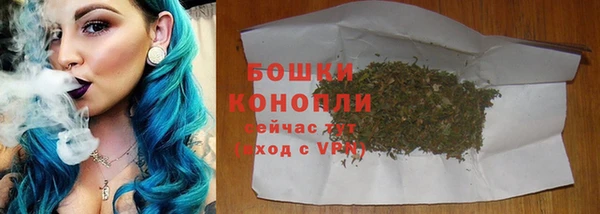 молекула духа Новозыбков