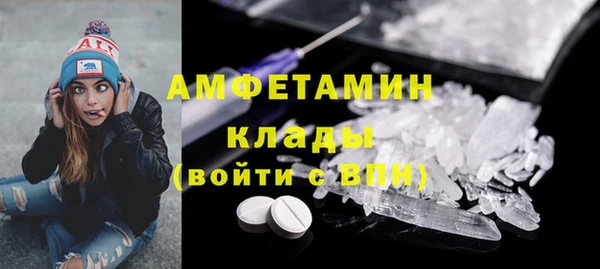 молекула духа Новозыбков