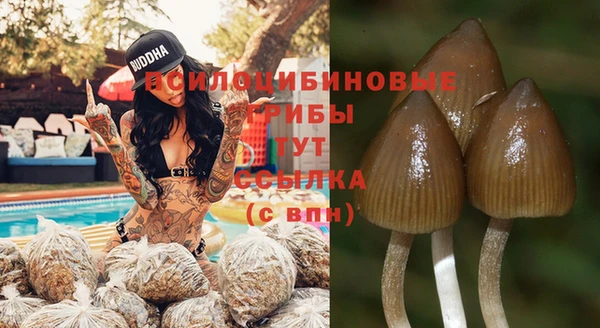 прущий лед Новодвинск