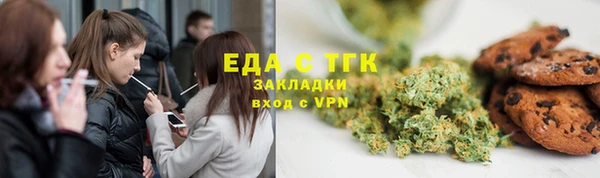 молекула духа Новозыбков