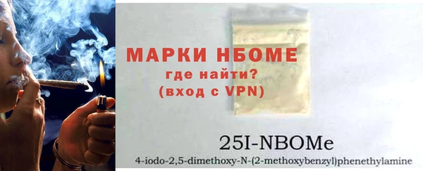 молекула духа Новозыбков