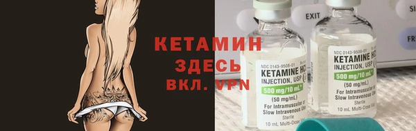 молекула духа Новозыбков