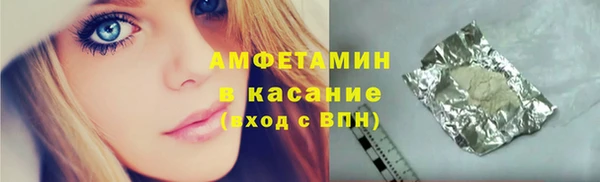 молекула духа Новозыбков