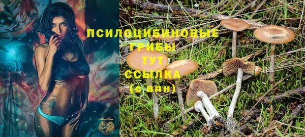 бошки Новокубанск
