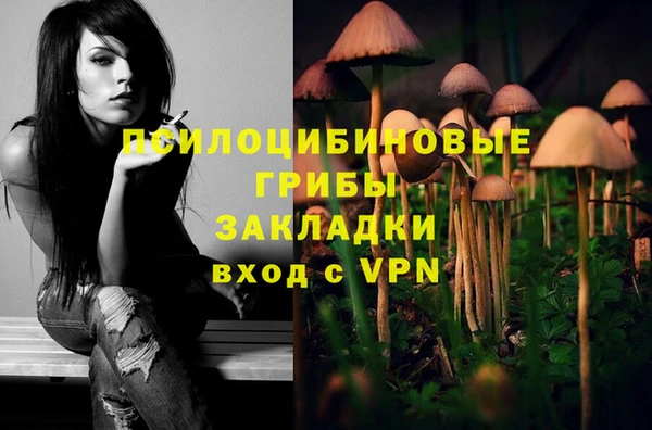бошки Новокубанск