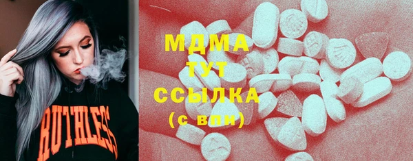 молекула духа Новозыбков