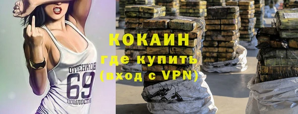 молекула духа Новозыбков