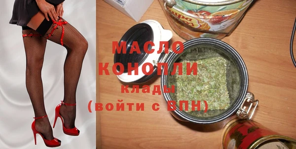 молекула духа Новозыбков