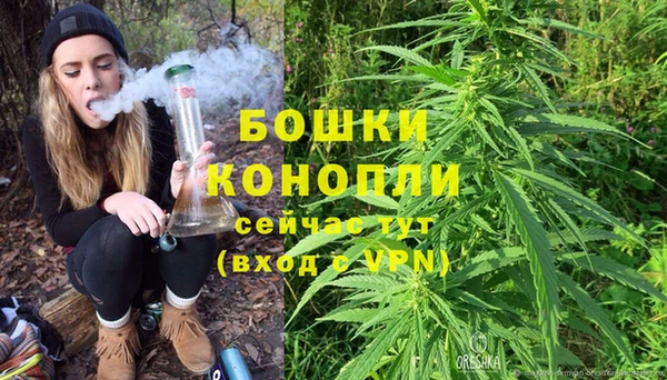 молекула духа Новозыбков