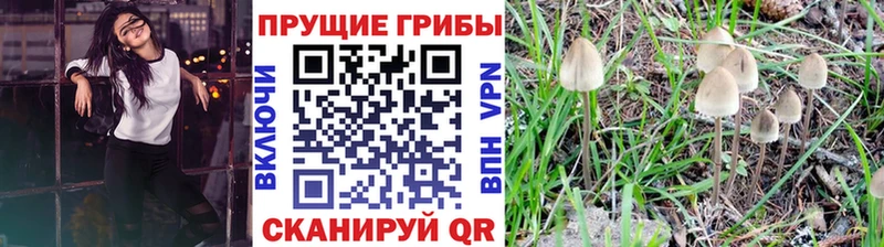 где можно купить   Рыльск  OMG ONION  Псилоцибиновые грибы мухоморы 